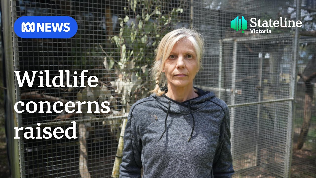 Former volunteers at odds with Wildlife Victoria | Stateline | ABC News