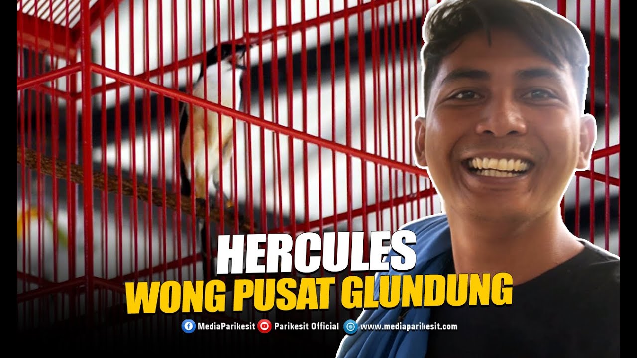 Cendet Hercules Mr. Roby Bali Terbaik Bikin Wong Pusat Ketar Ketir