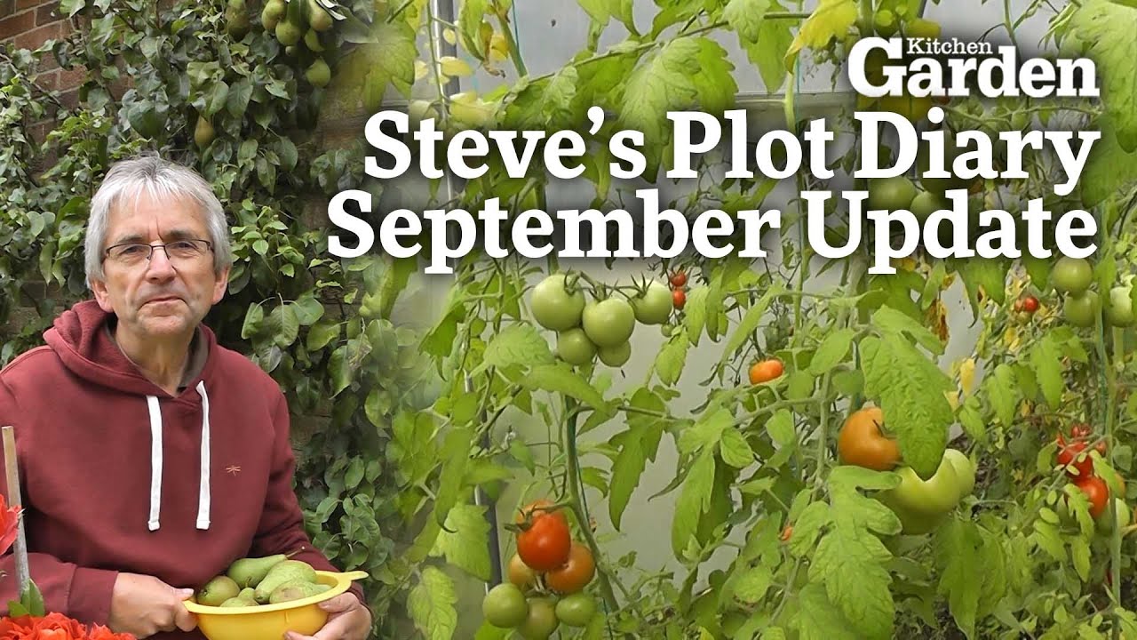 September Plot Update | Steve's Plot Diaries