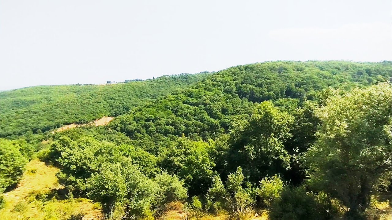 SATILIK TARLA RESMİ YOLA CEPHE 2050 M2 TARLAMIZ MUHTEŞEM DOĞA MANZARASI FİYAT 275 BİN DEMİRELLİ İNŞA