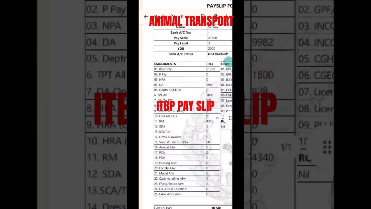 itbp animal transport salary