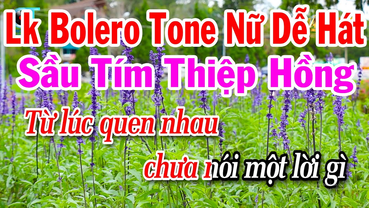 Karaoke Liên Khúc Bolero Tone Nữ Dễ Hát 2025 - Sầu Tím Thiệp Hồng - Đừng Nói Xa Nhau
