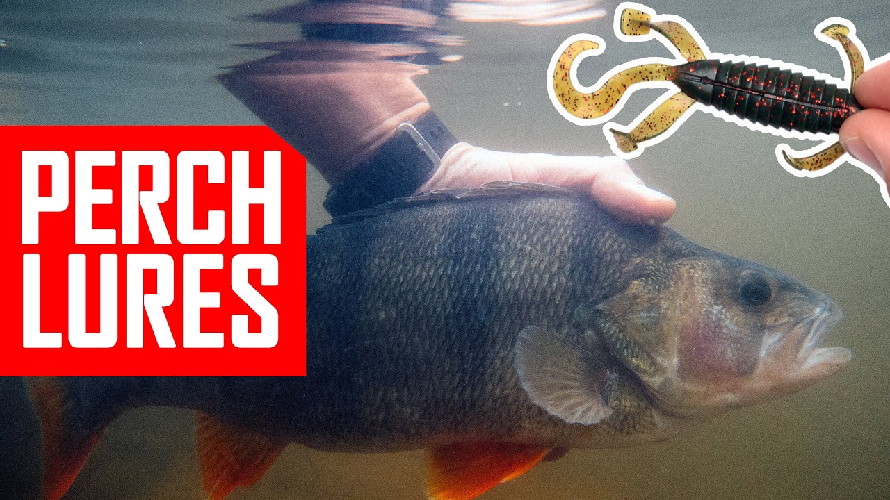 Big Perch fishing and top 2022 lures for passive fish. 100 Big Perch Challenge. Part 5