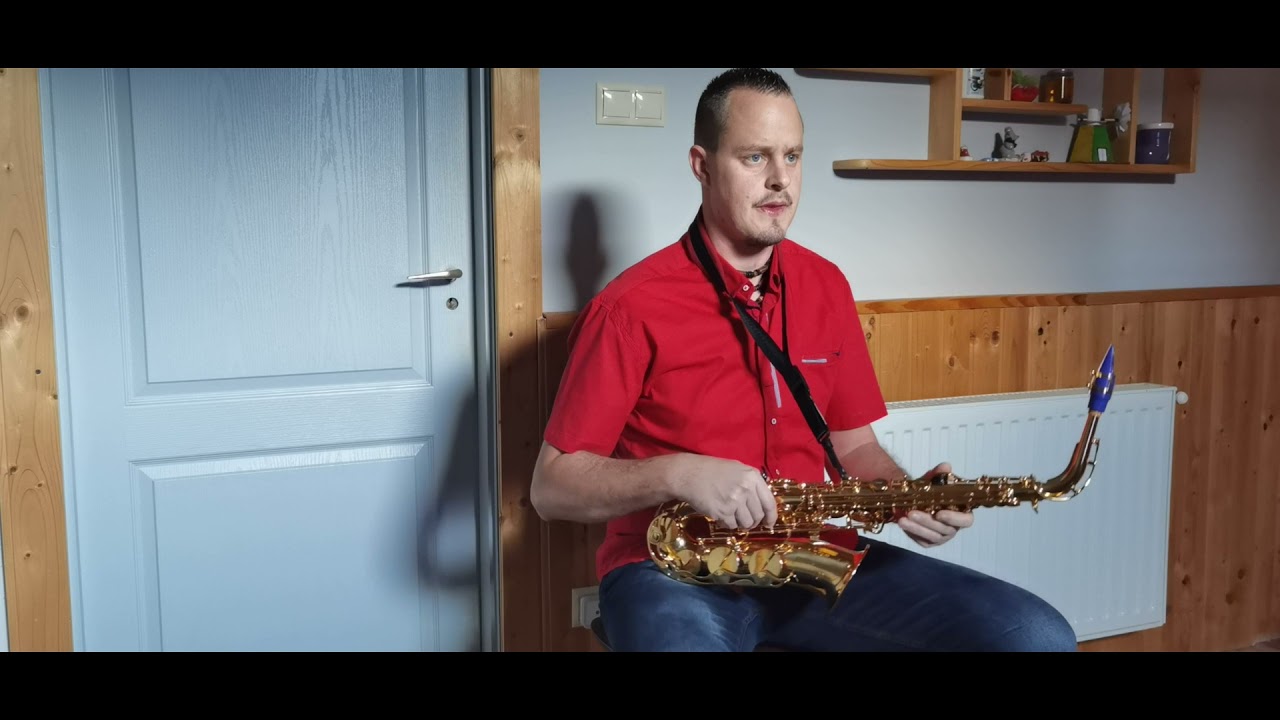 Mike Oldfield - Moonlight Shadow (Alto Sax)
