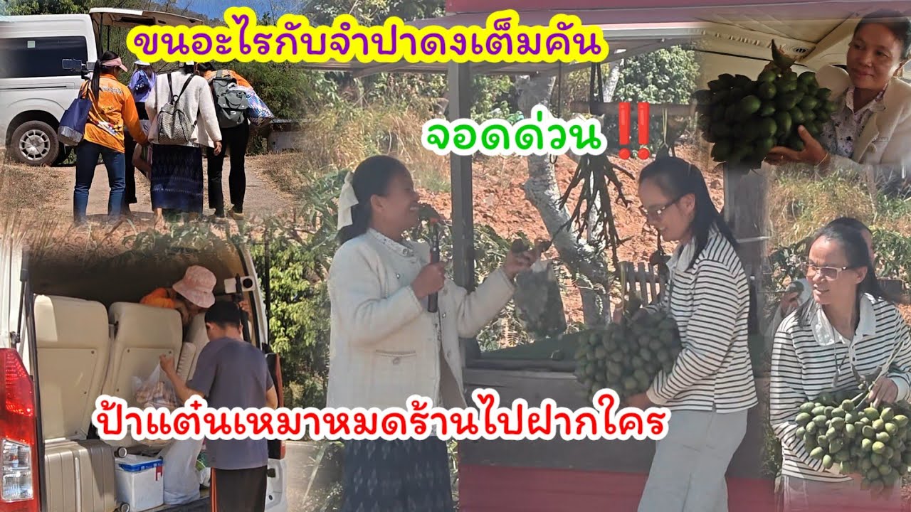 ขนอะไรกลับเต็มคัน  ป้าแต๋นจอด่วนกลางเขาซื้ออะไรฝากใคร