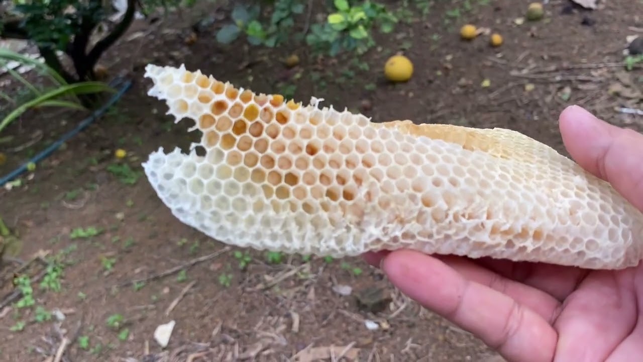 Lao cầu chân tầng đúng thời điểm 