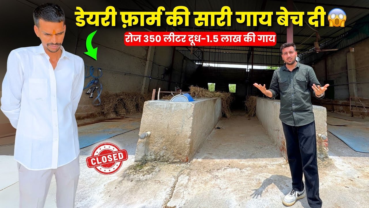 Gir Cross Dairy Farm Closed🚫😳क्यों Sell की 350 लीटर दूध वाली गाय🐄