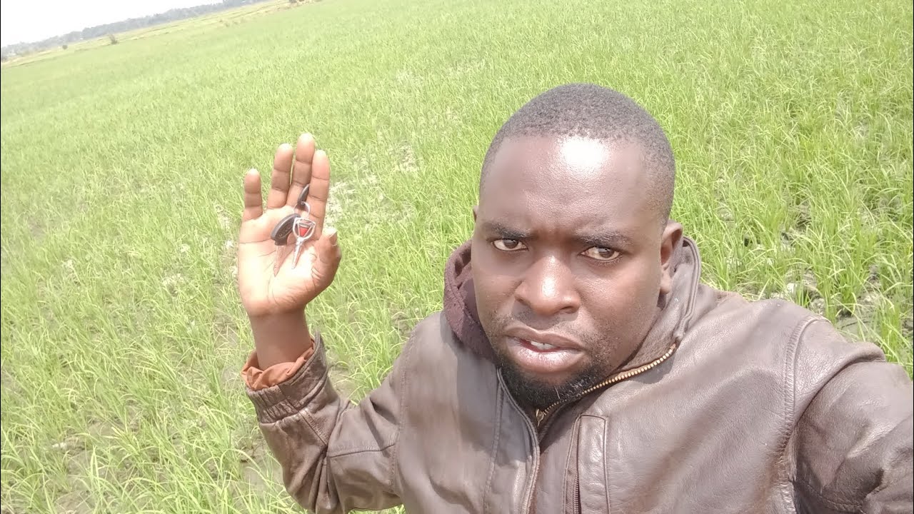 ADVENTURING IN RICE FARM  BEST EXPERIENCE 