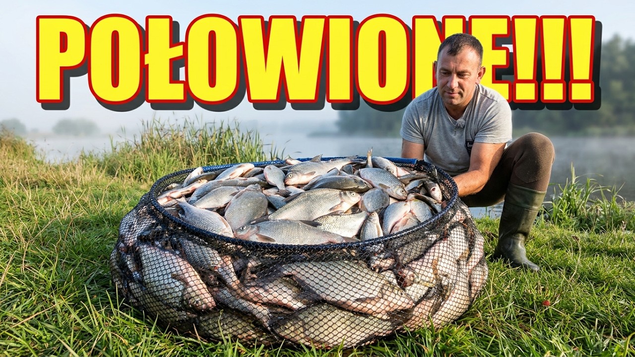 KUPA RYB!!! POŁOWIONE!!! CZY TO KONIEC LATA?!?!