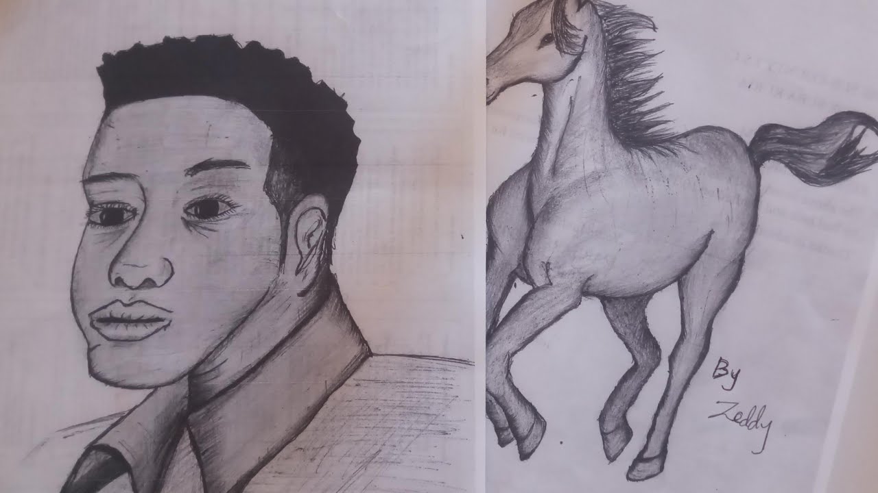 LEARN HOW TO DRAW (13) WITH ZEDDY
