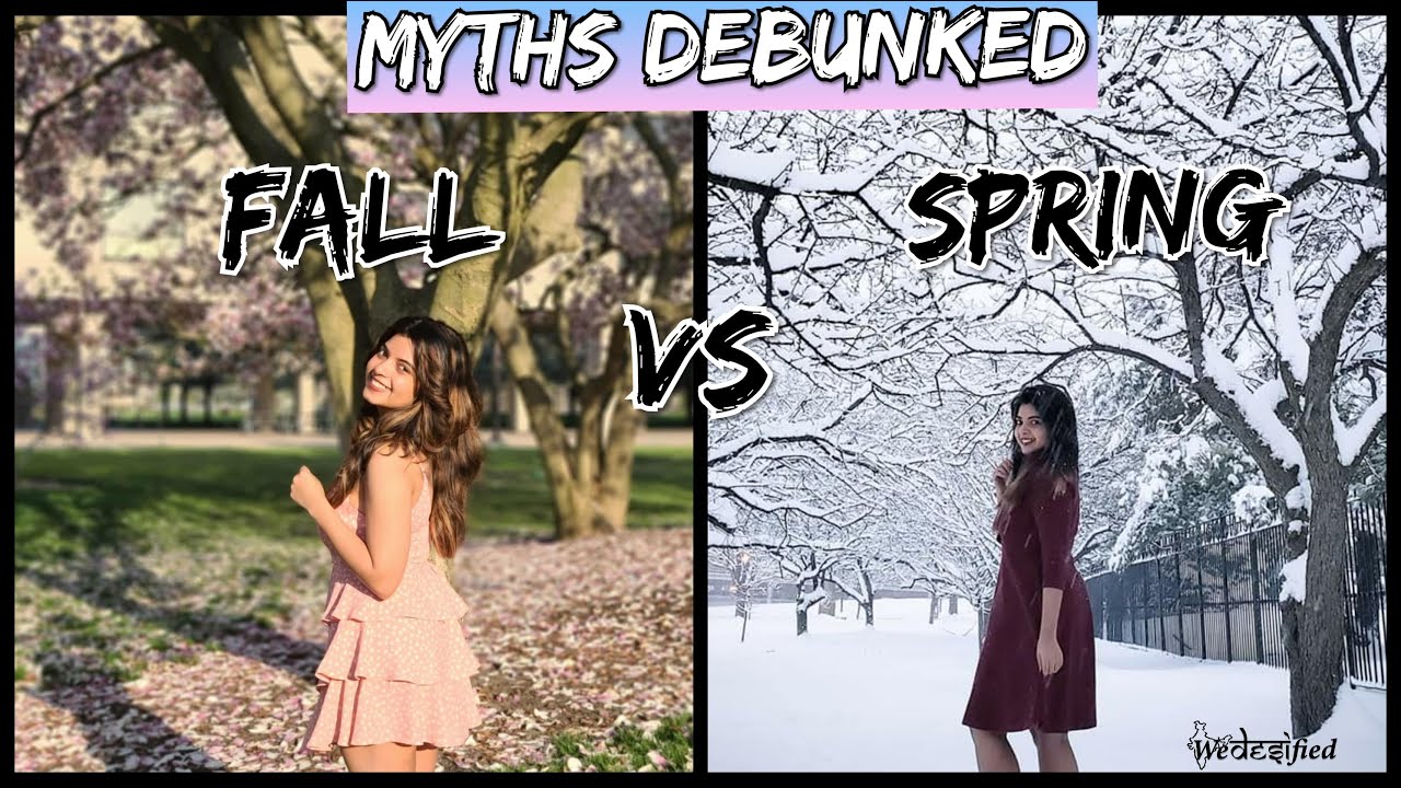Fall vs Spring semester | All you need to know | Myths Debunked | Study in US | WeDesified