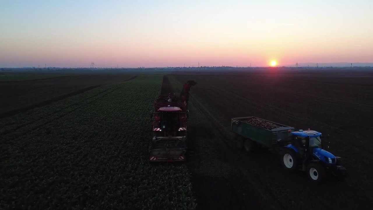 Repná Kampaň 2025|Holmer Terra Dos 4⁴⁰|PD Jaslovské Bohunice|3x New Holland 