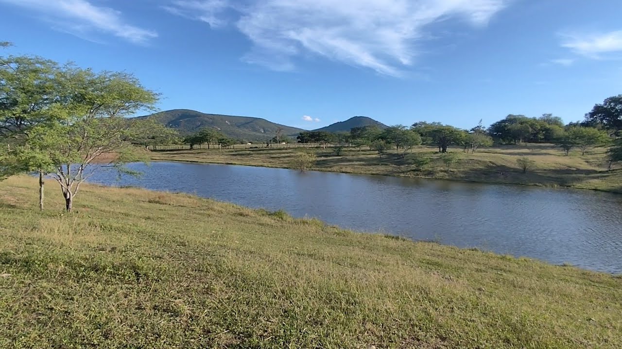391#fazenda de 270 hectares para vender em Riacho das Almas Pernambuco