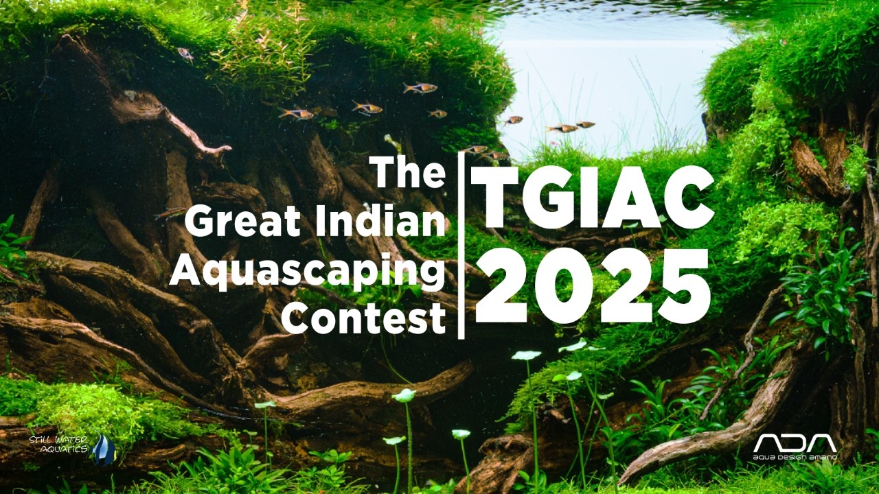 The Great Indian Aquascaping Contest - 2025