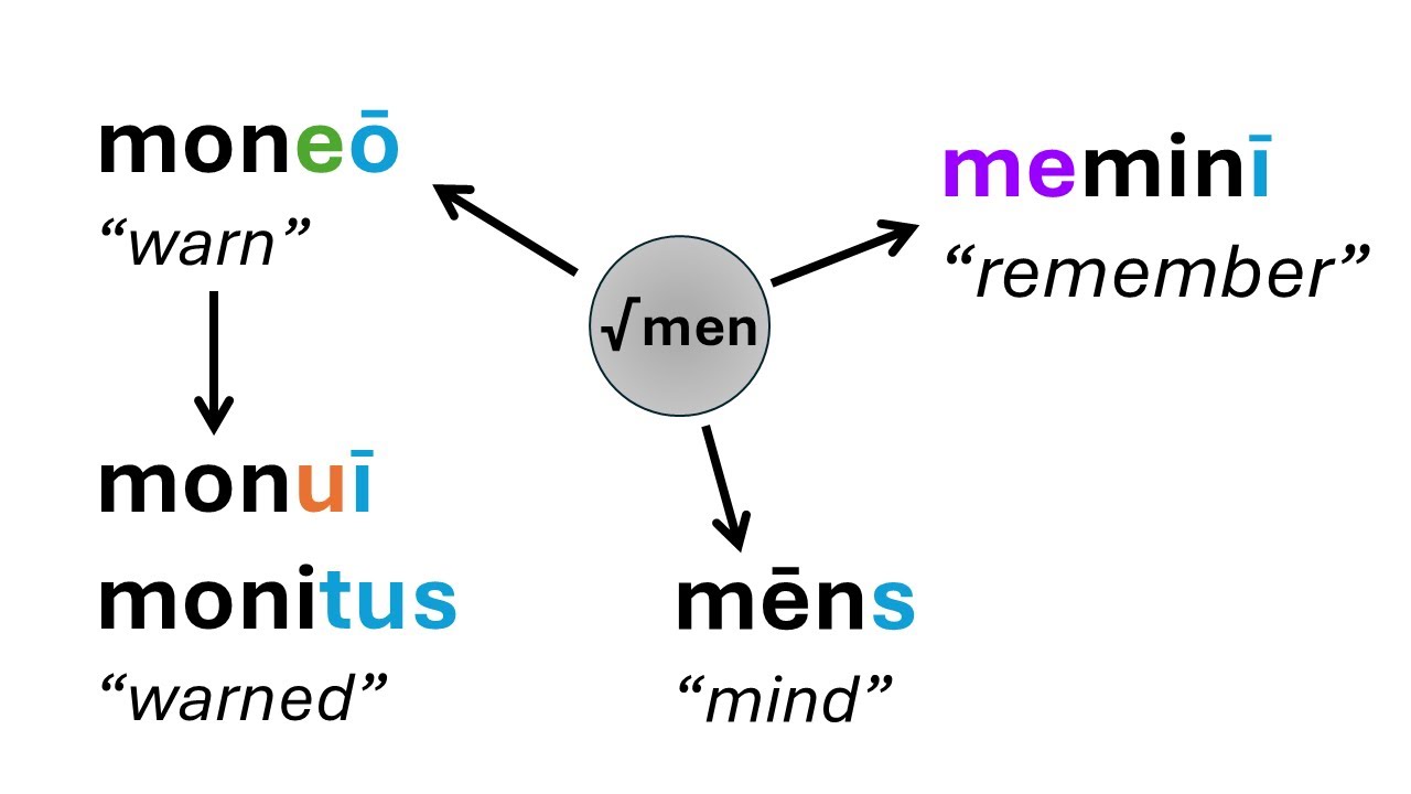 Why Latin has Principal Parts