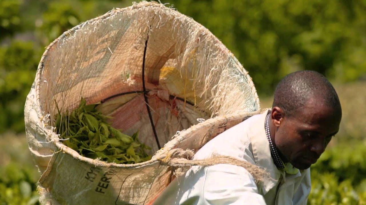 Fairtrade jest ważny (Fairtrade matters) - wersja pełna