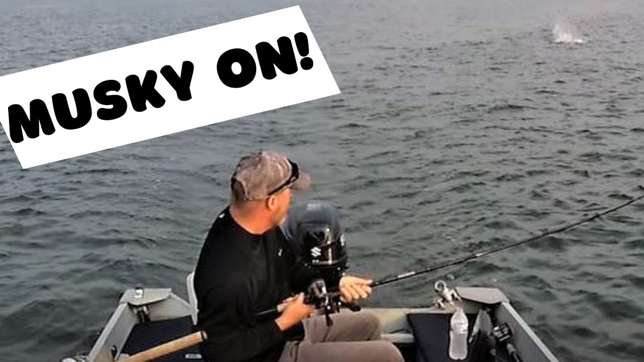 Alum Creek Muskie Fishing