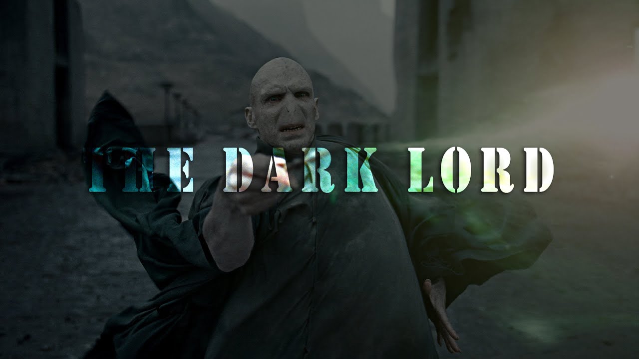 (Harry Potter) The Dark Lord || Survivor