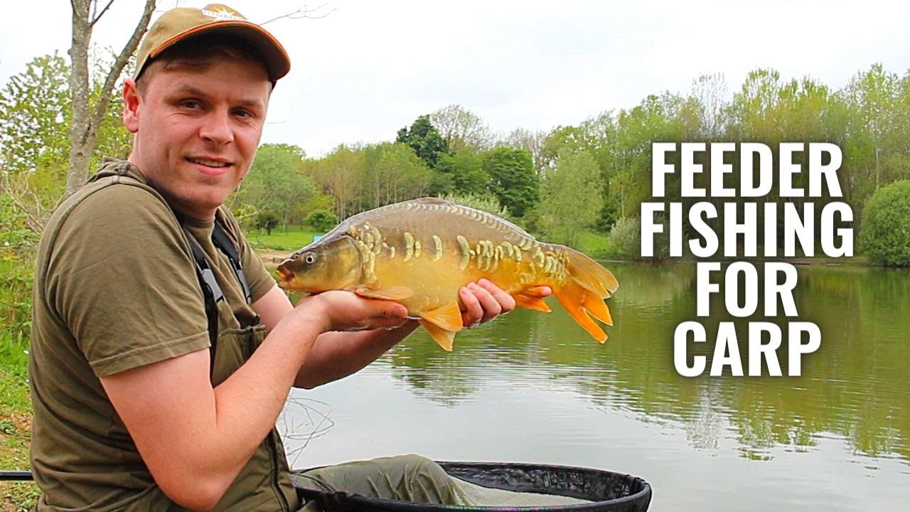 Feeder Fishing For Carp with Sam - Albans Lakes