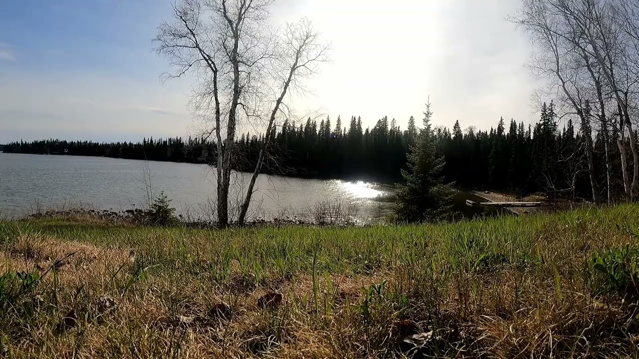 Warm Sun on the Lake Shore with a Cool Wind off the Lake
