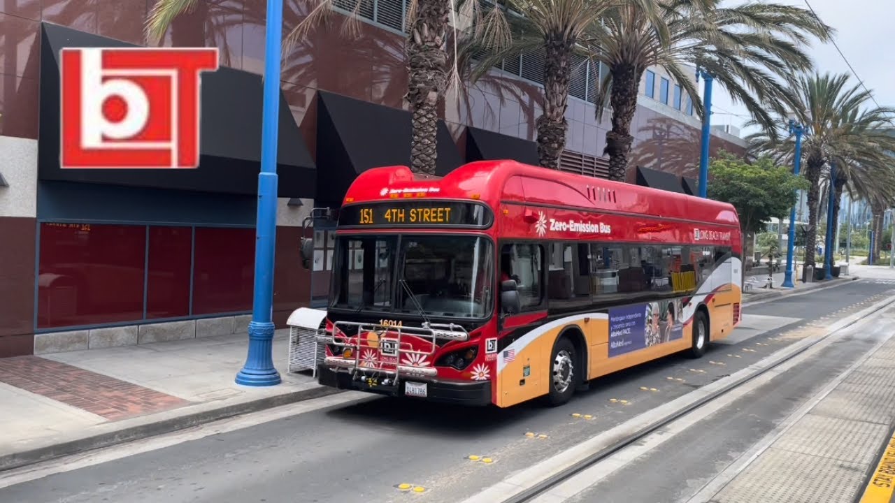 Long Beach Transit Public Bus Compilation | LBT