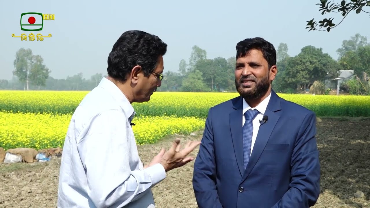 সিরাজগঞ্জে বেড়েছে সরিষা চাষ