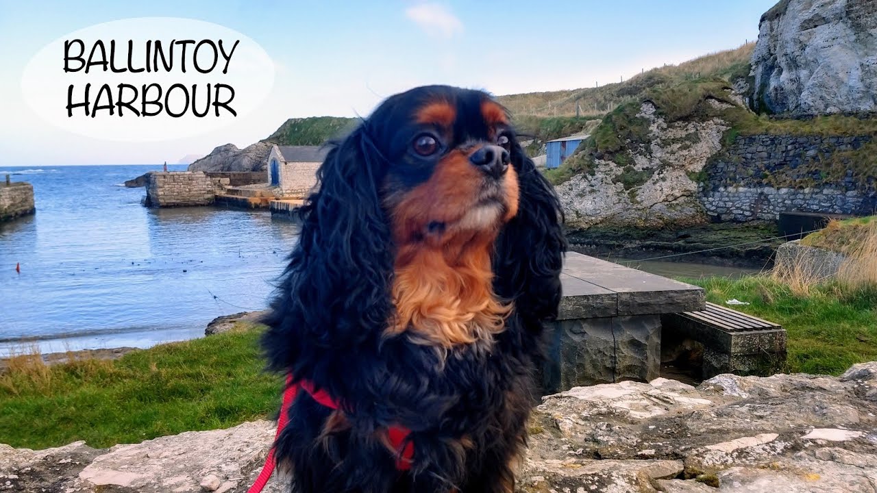 Ballintoy Harbour, Co. Antrim, Northern Ireland