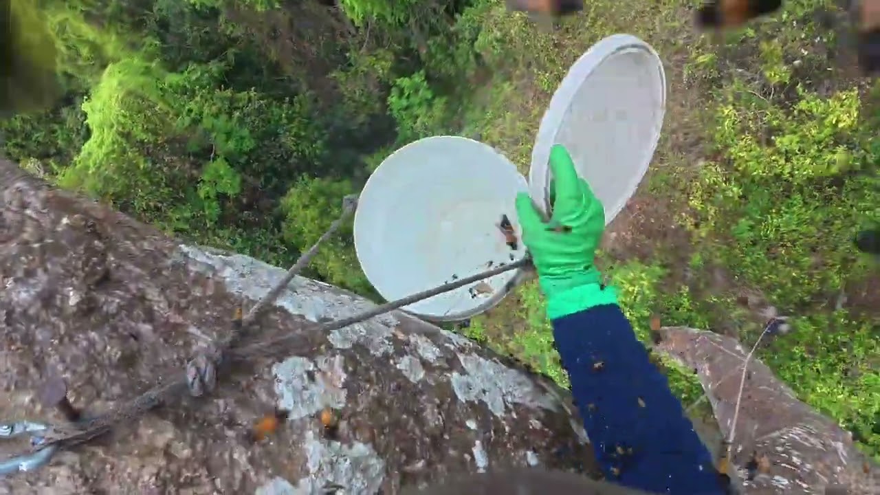 Lebah puncak janing eps8