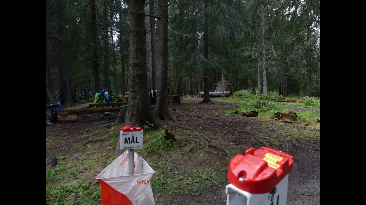 KM Bedrift O l&oslash;p 2019