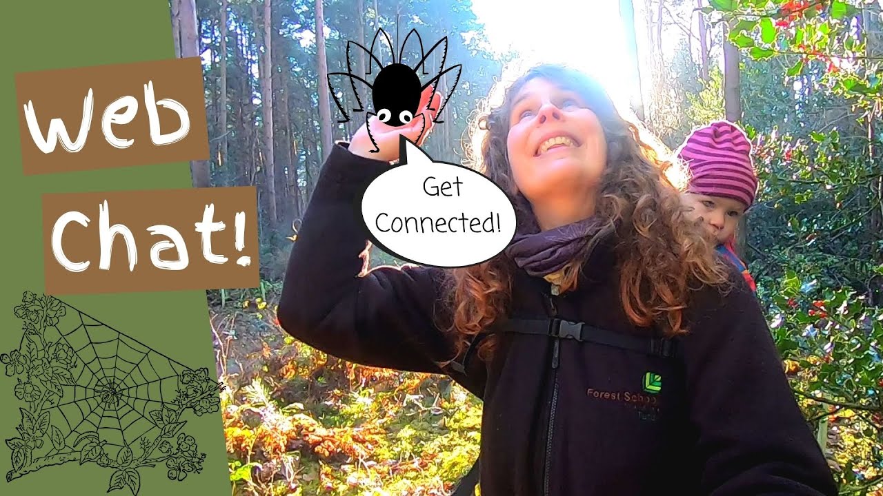 Biophilia 2 - A Message from the Spiders