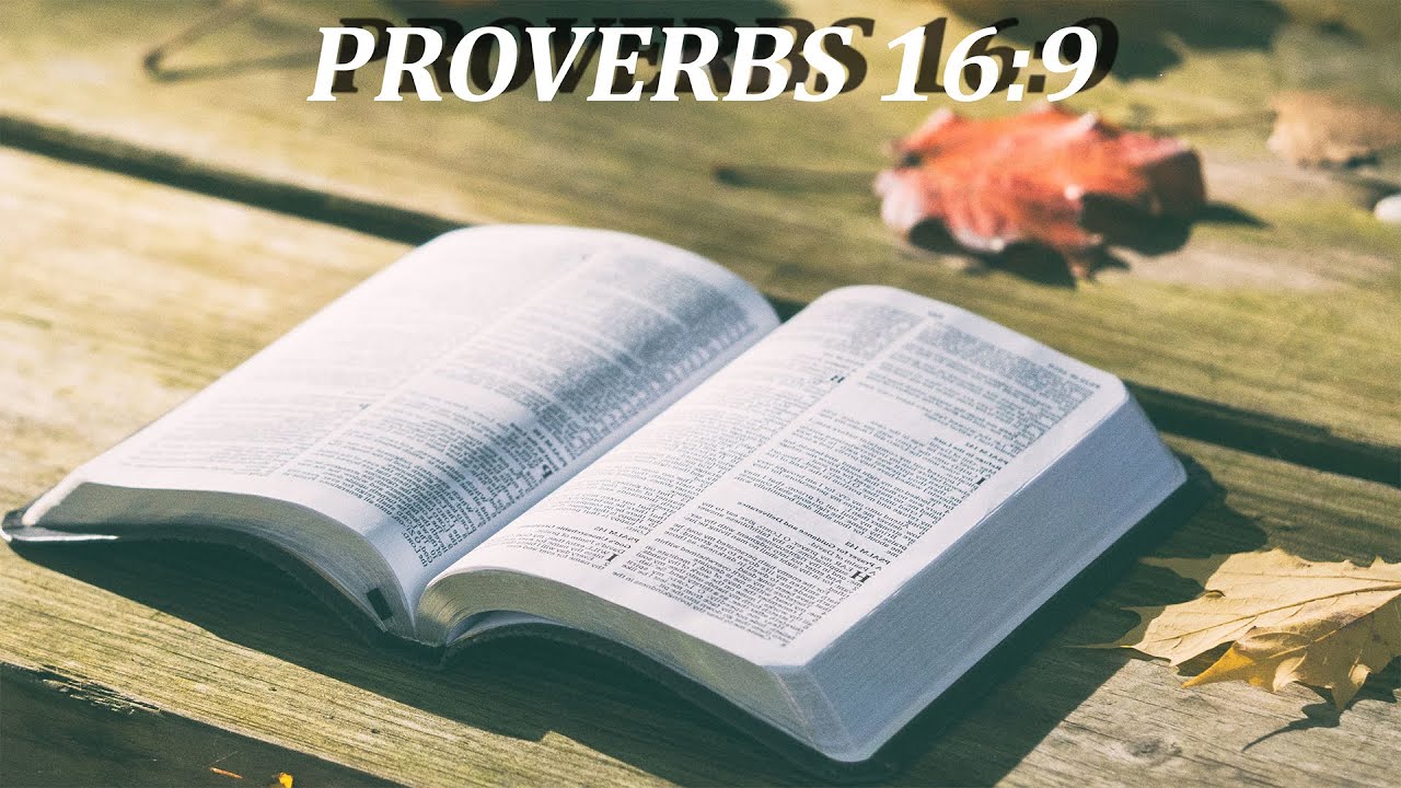 Proverbs 16:9 | God Establishes Your Steps, Not Your Plans
