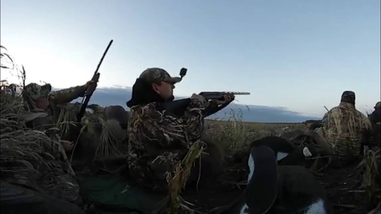 First ever! #360 Virtual reality #GooseHunting 2016 #VR