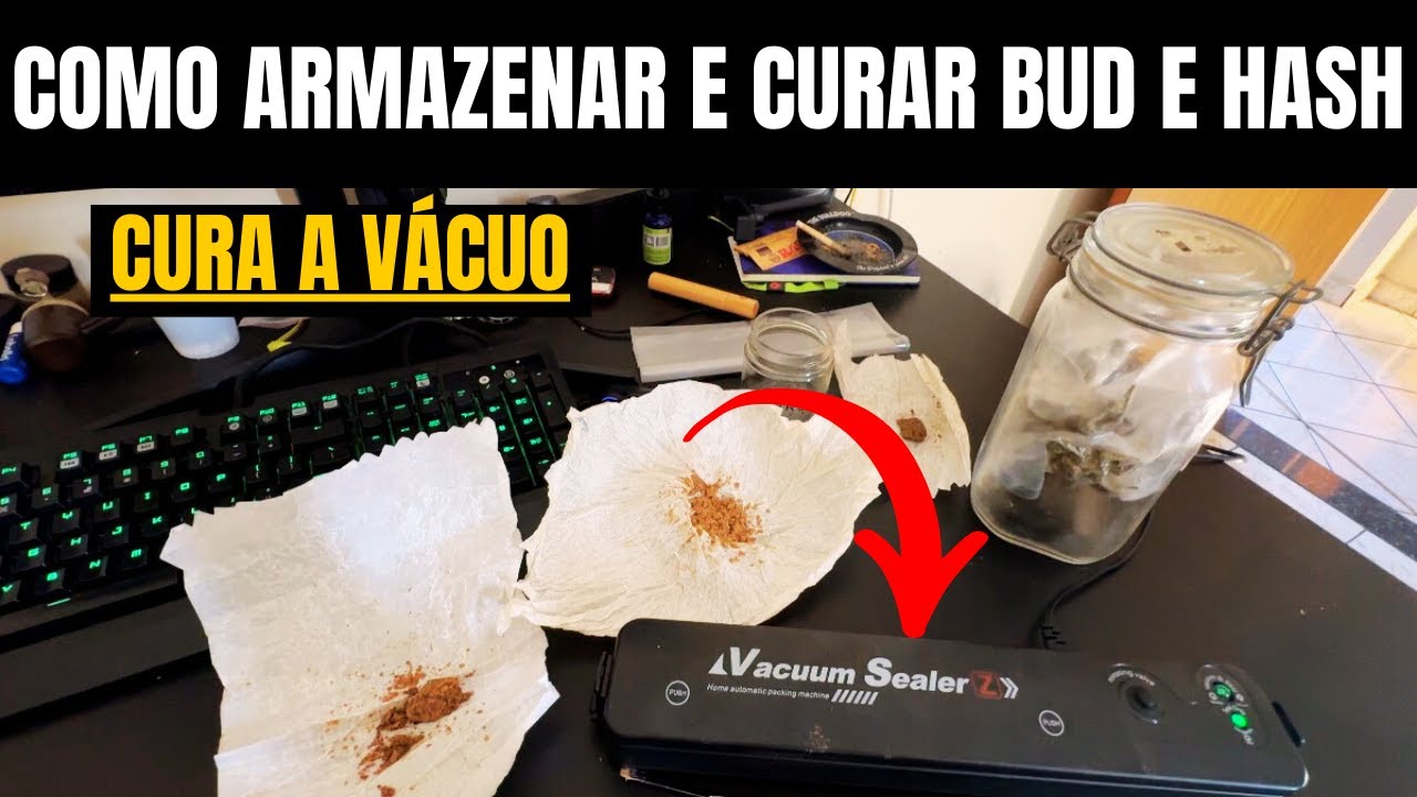Como ARMAZENAR e CURAR BUD E HASH l Cannabis - Maconha
