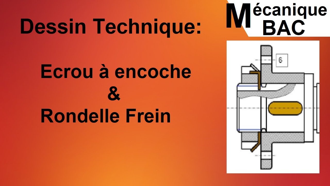 Assemblage: écrou à encoche et rondelle frein