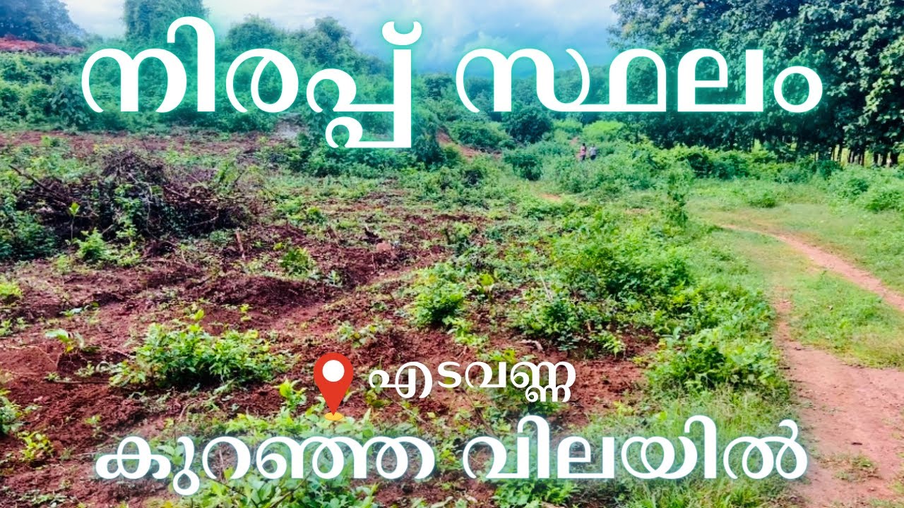 25000രൂപക്ക് കാലിസ്ഥലം/ഫാമിനും/തെങ്ങ്/കവുങ്ങ്/റബ്ബർഎന്നീ കൃഷിക്ക്പറ്റിയത്-HousePlote
