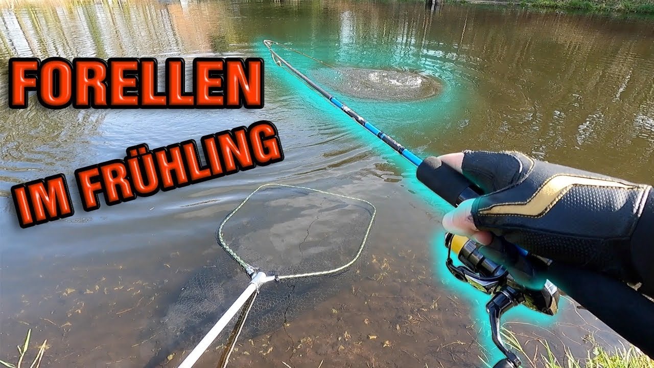 Forellenangeln an der Emsquellaue l Hövelhof | Forellenangeln mit Spoon´s