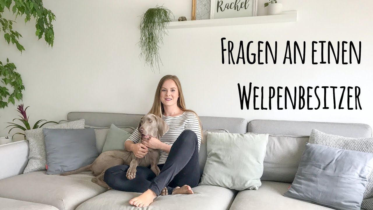 Fragen an einen Welpenbesitzer - Tipps rund ums Thema Hund | justmerachel