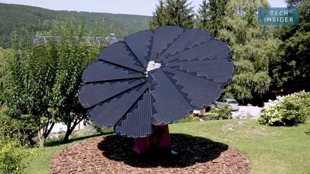 I pannelli che imitano i girasoli per produrre energia pulita | Insider Italiano