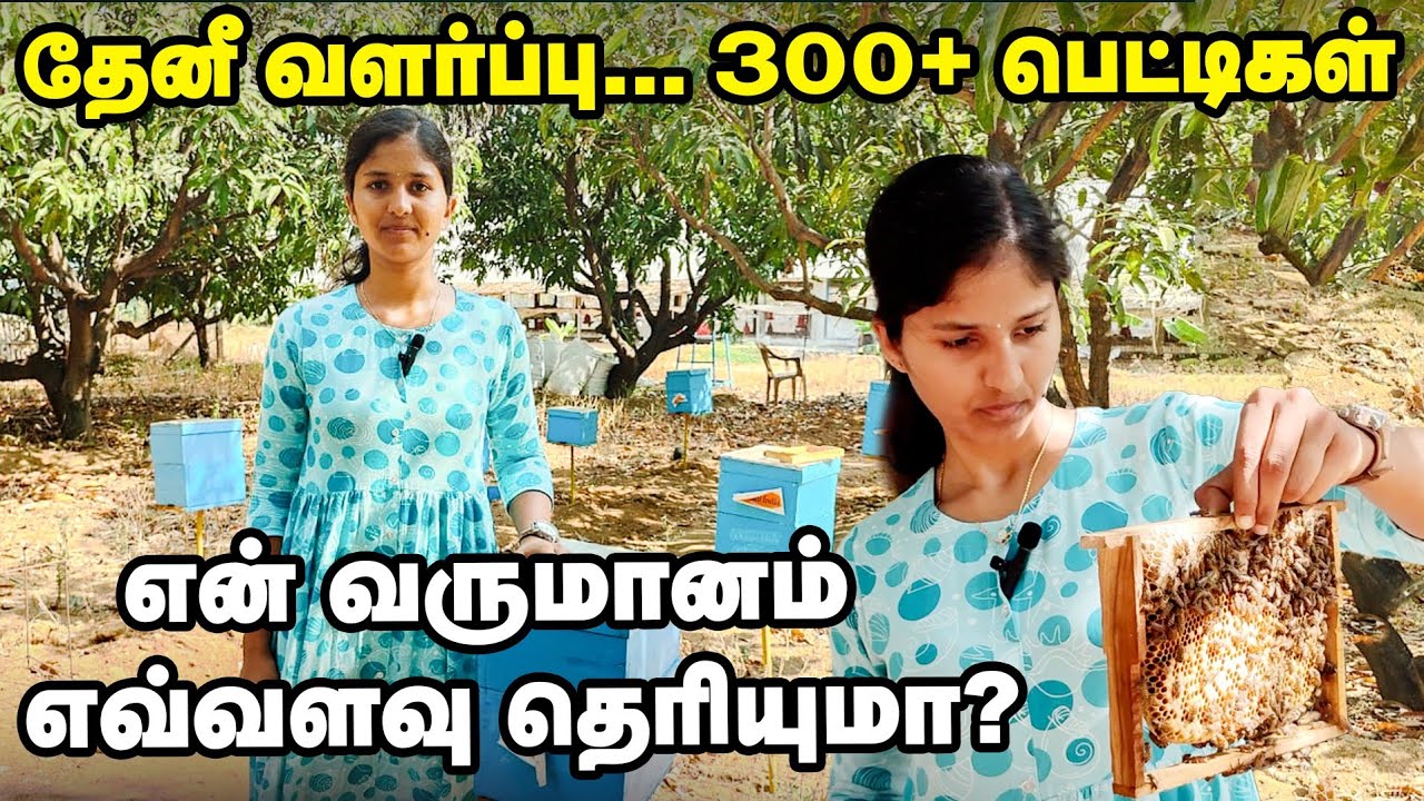 Bee Keeping | என் வருமானம் இதுதான் 🔥 300 + பெட்டிகள் தேனீ வளர்ப்பில் அசத்தும் பெண்!