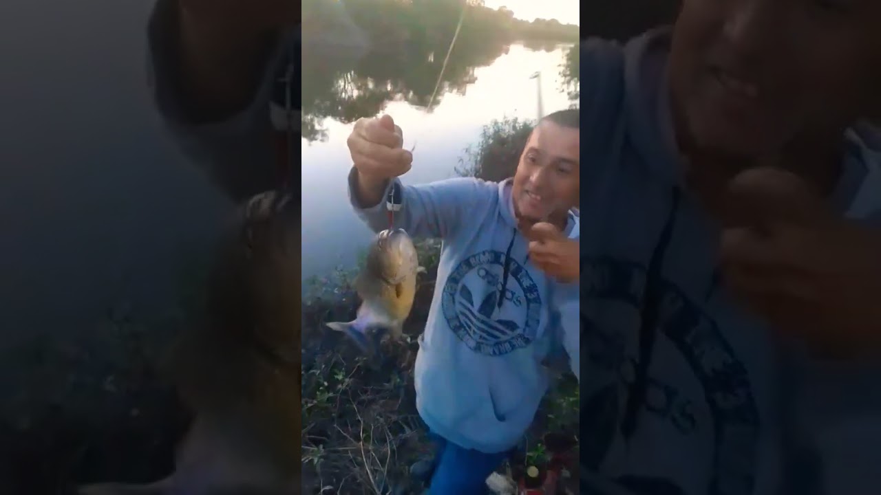 "Palometa al detalle: enganchada, arroyo salvaje y la devuelvo"