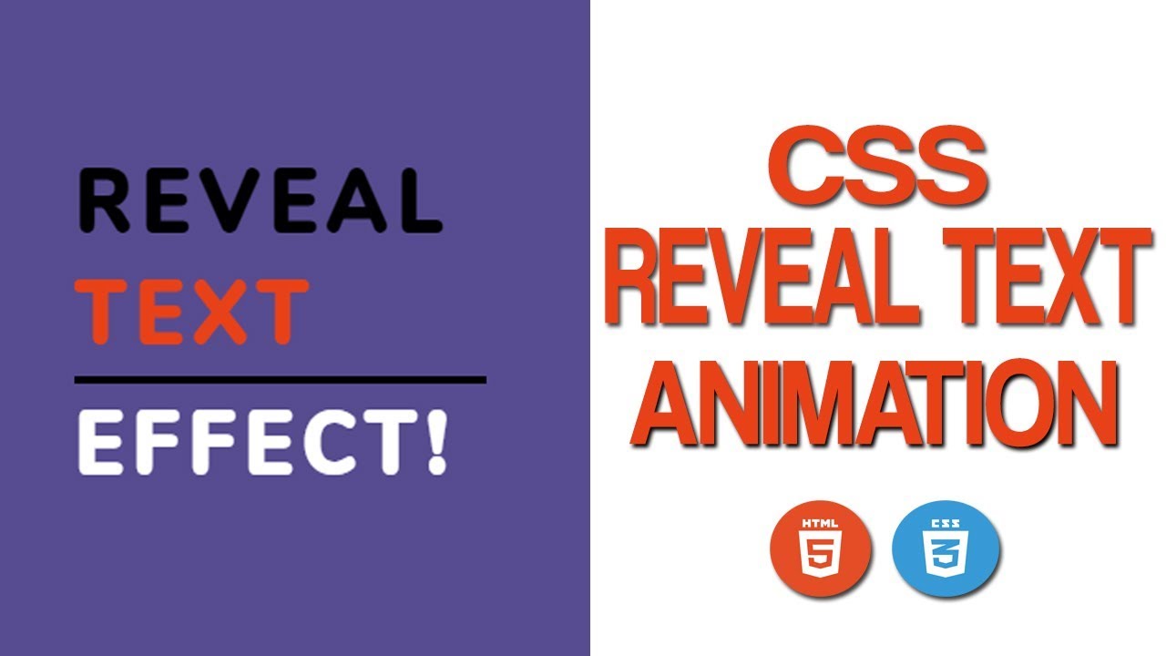 CSS Text Reveal Animation - Text Reveal Effect