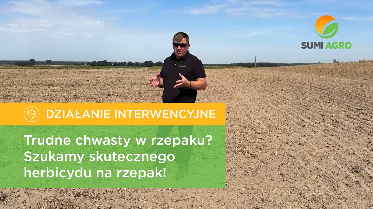 Trudne chwasty w rzepaku? Szukamy skutecznego herbicydu na rzepak!
