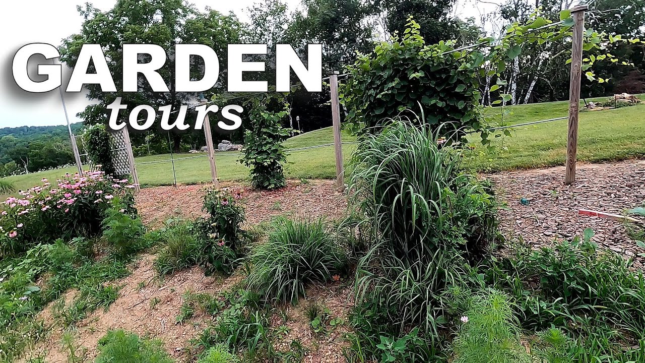 Обновление Ditch Garden и Dwarf Orchard [Frankenvideo]