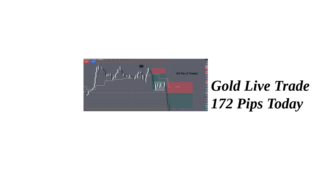 Gold Live Trade 172 Pips