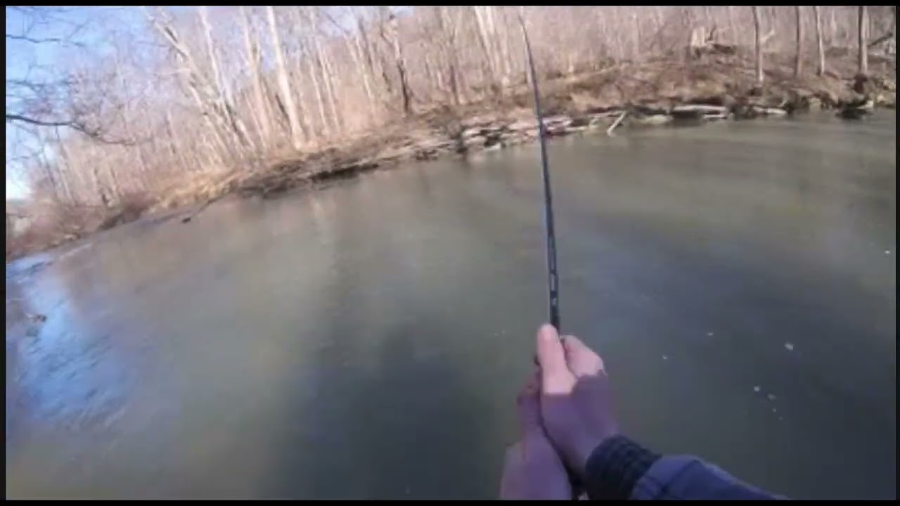 delayed harvest chest creek 