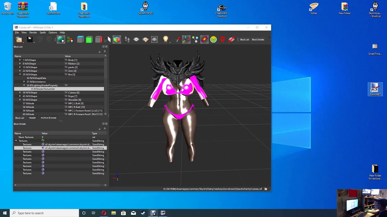 How to use Nifskope & Paint net in Skyrim
