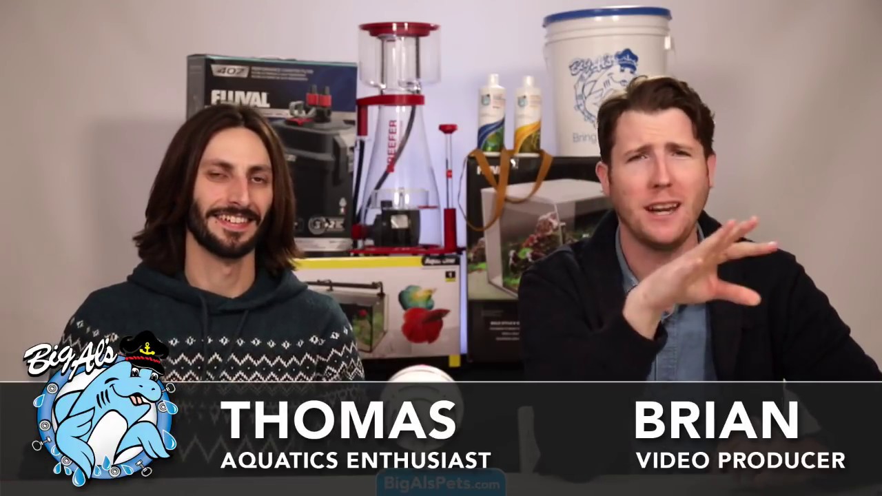 ▶️ WE UNBOX OUR SILVER PLAY BUTTON! Plus Thomas REACTS, a LIVE Q&A and MORE!