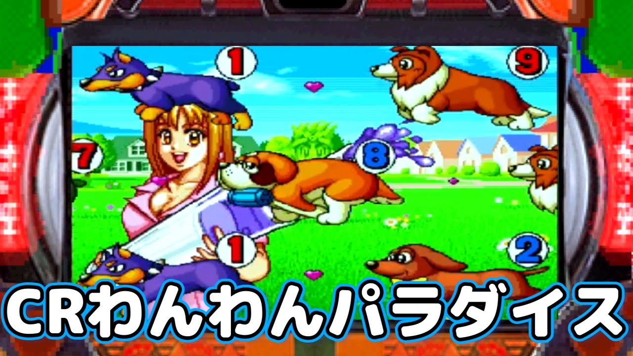 CRわんわんパラダイス 2026/2/3