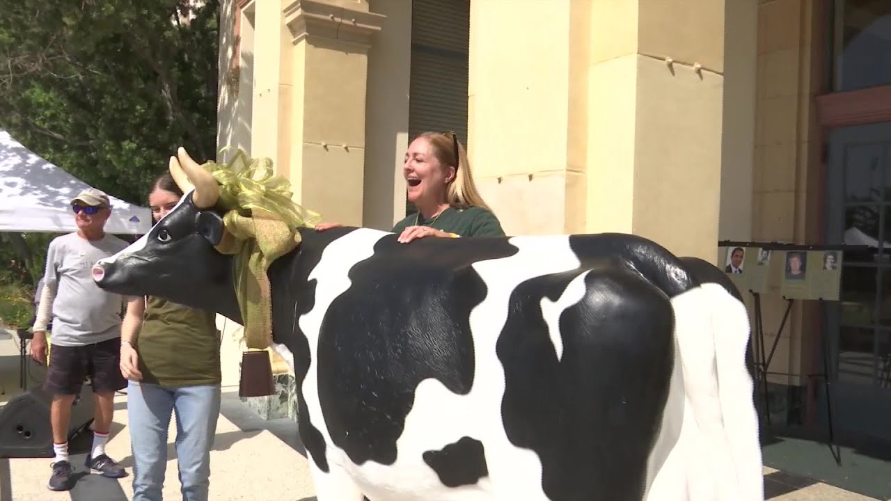 Santa Barbara High School's All Dons Reunion brings graduates together