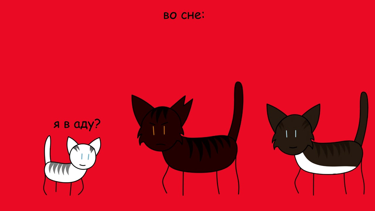 Коты-воители. Долгое эхо ~ в двух словах